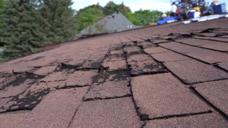 Fast & Reliable Emergency Roof Repairs in East Kapolei, HI