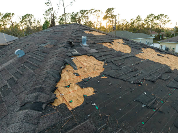 Best Roof Insulation Installation  in East Kapolei, HI