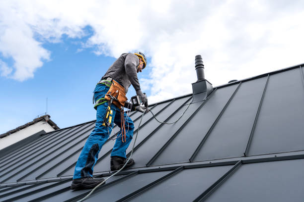 Best Roof Moss and Algae Removal  in East Kapolei, HI